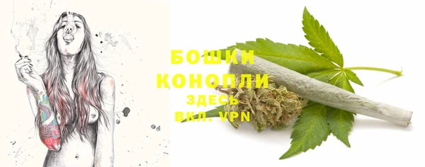 гидра Дмитровск